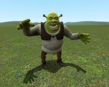 Shrek's Swamp & Village
