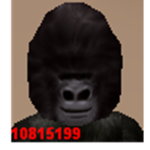 Gorilla Famliy