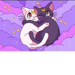 kitty loves <3