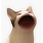 JAYZIEYOO is my name