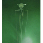 epic magnapinna squid