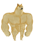 TEAM D.O.G.E.
