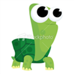 I make a group for people who like turtles