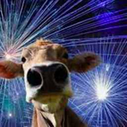 July 4th
