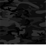 [VIE]            Vietnam