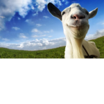 ITS THE GOATS
