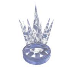 the ice guard
