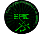 Elite Professionals In Combat