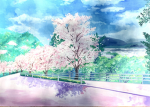 Cherry Blossom Posse