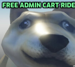ADMIN CART RIDE!!