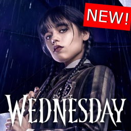 WEDNESDAY OBBY!