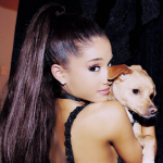 Ariana Grande Followers