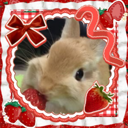 ʚ🍓ɞ