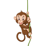 Monkey luck