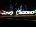 Celethedog1