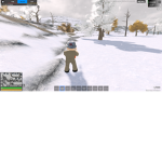 official georgia state rp