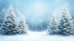 snow dance studio