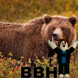 Brown Bear's Hangout [BBH]