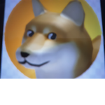 The home of the dogge