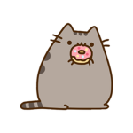 Who love cute cat