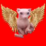 The Bingus Republic!