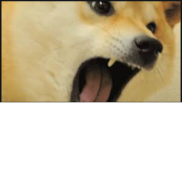 The new doge base