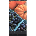 Pumpkins and blueberries