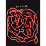HUGE brain