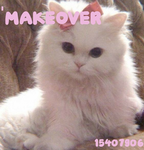 'makeover