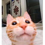 Nak's :)