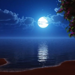 Midlight