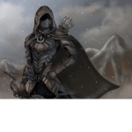 The order of the shadow warriors