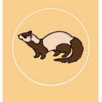 GROUPewsdvnkmtrl;efd[uopy