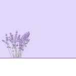 Lilac vibes