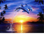 SummersLittleSunshines