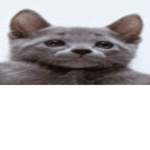 Donnation Group