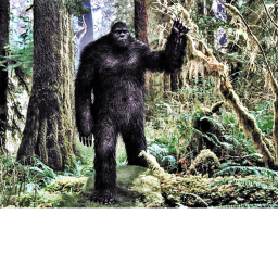bigfoot