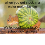 watermelon FAT