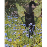 fairygrvnge