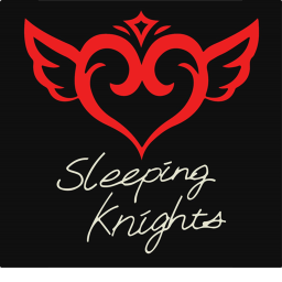 Sleeping Knights Training