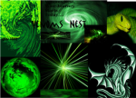 Venoms Nest