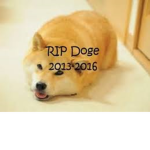 Doge Creators (DC) 🐕
