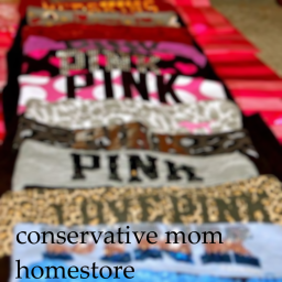 conservative mom homestore v1