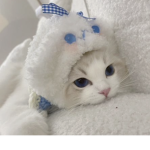 Coco ki