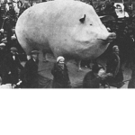 Big Piggy Studio