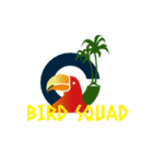 #MY BIRD SQUAD