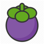 Purple Mangos | Studios