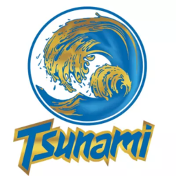 Shop ID Voice TSUNAMI