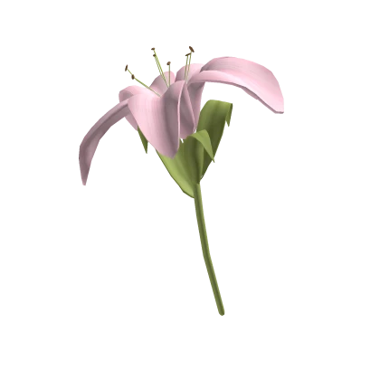 lily♡ ♡ Large cute pink lily flower 🌸 | Roblox Item - Rolimon's