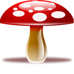 mushroom mushroom